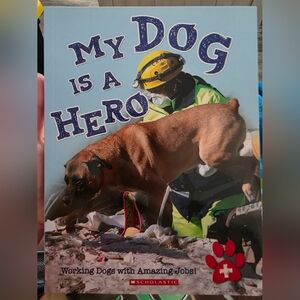 Scholastic Brown and Green Dog Book